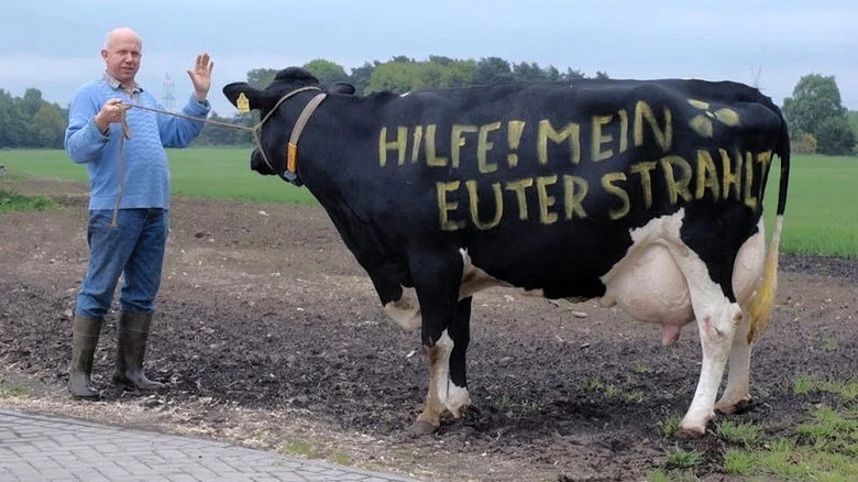 Am Tag als Bobby Ewing starb screenshot 2