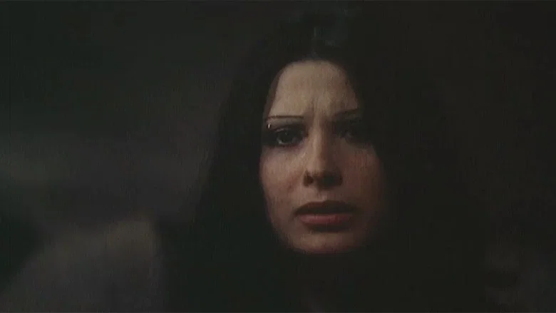 Cross Shot screenshot 2