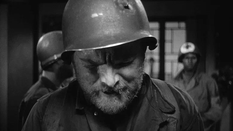 The Steel Helmet screenshot 1