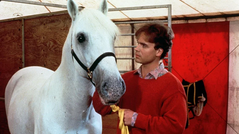 Mein Freund, der Lipizzaner screenshot 3