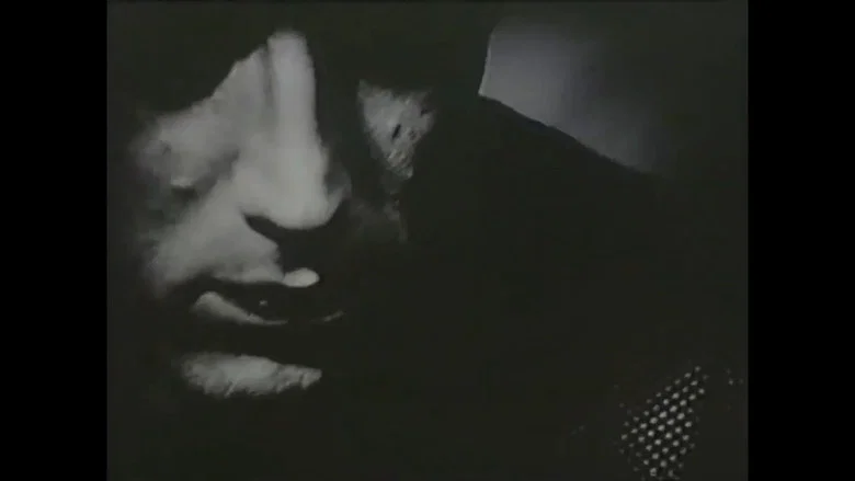 FRANZ ZWARTJES : "DO BIZARRO AO ERÓTICO" screenshot 5