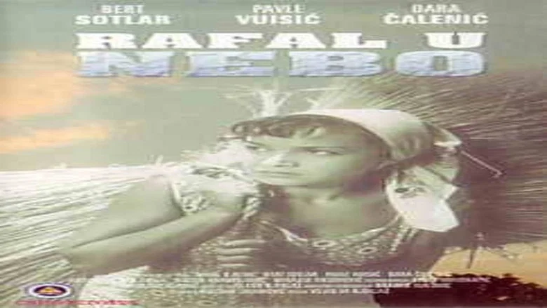 Shots in the Sky screenshot 1