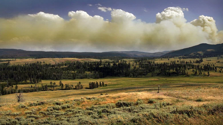 National Parks Exploration Series: Yellowstone screenshot 1