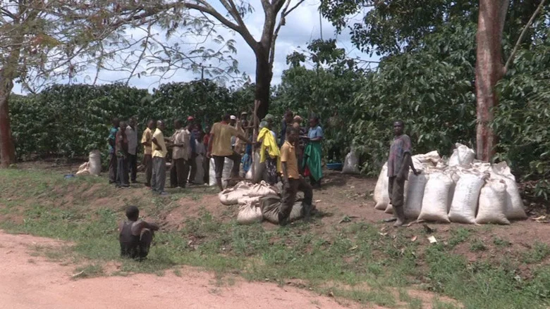 The Mubende Case and the bitter taste of eviction screenshot 3