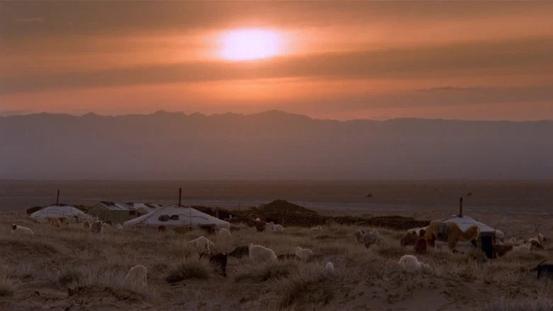The Story of the Weeping Camel screenshot 4