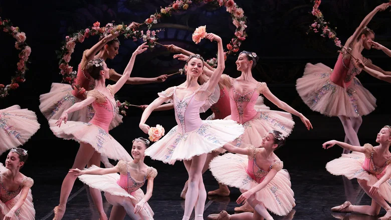 Le Corsaire screenshot 1