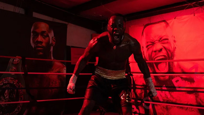 Deontay Wilder vs. Tyrrell Herndon screenshot 2