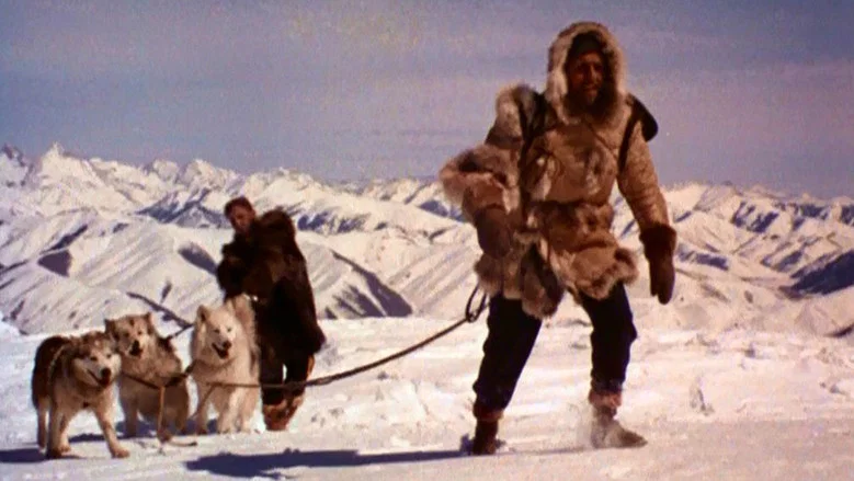 The Wild North screenshot 1