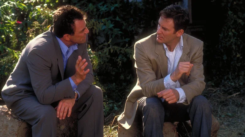 In & Out screenshot 3