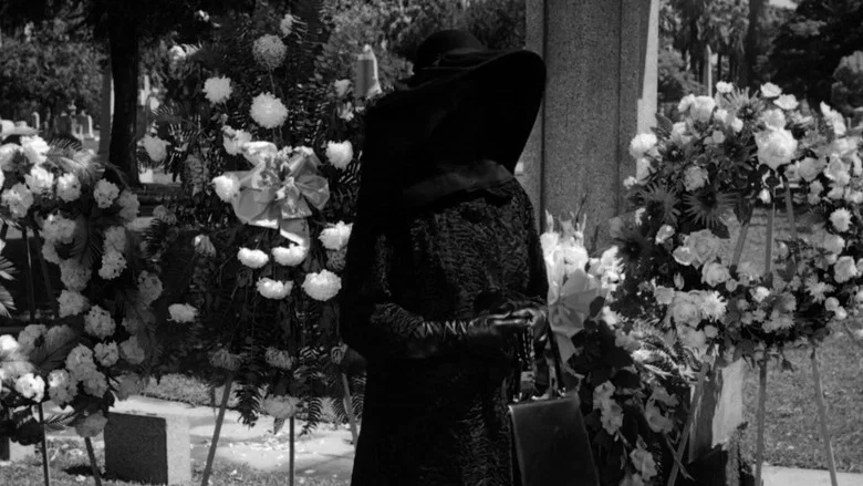 Dead Ringer screenshot 7