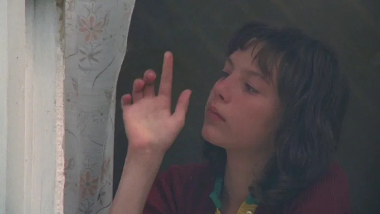 Taureau screenshot 8