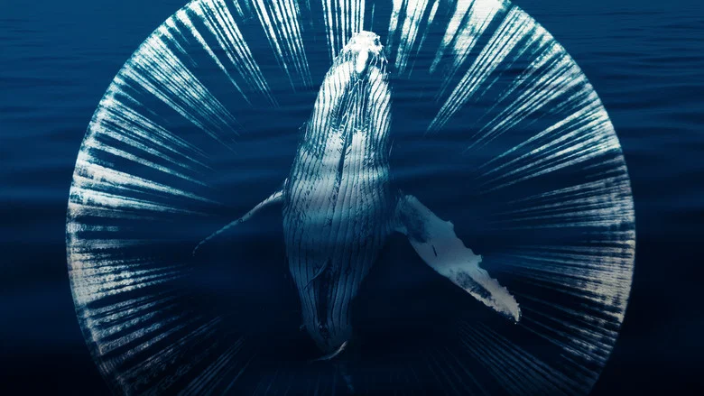 Fathom screenshot 4