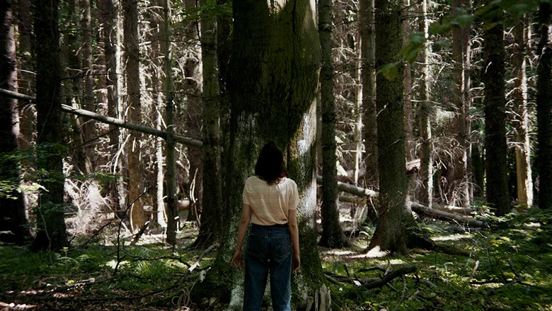 Songs in the Sun screenshot 2