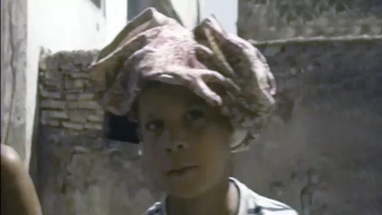 Les Moineaux d'Algérie screenshot 5