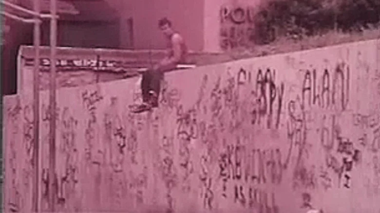 The Vandals screenshot 1