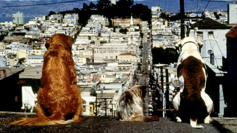Homeward Bound II: Lost in San Francisco screenshot 7