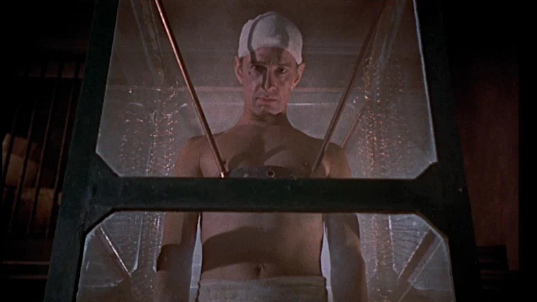 The Revenge of Frankenstein screenshot 6