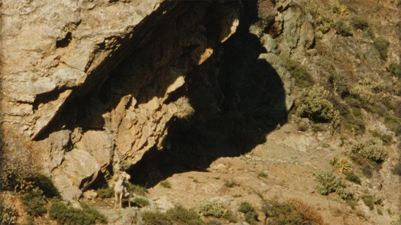 The Ground screenshot 3