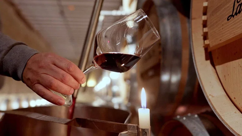 Rioja: The Land of a Thousand Wines screenshot 1