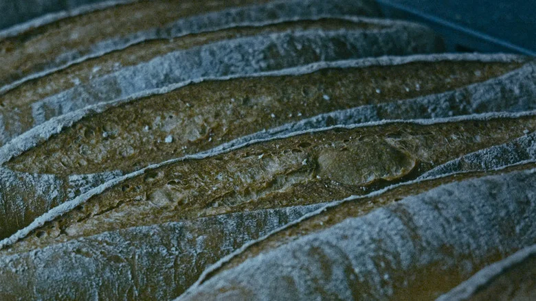 The Mechanics of Film screenshot 6