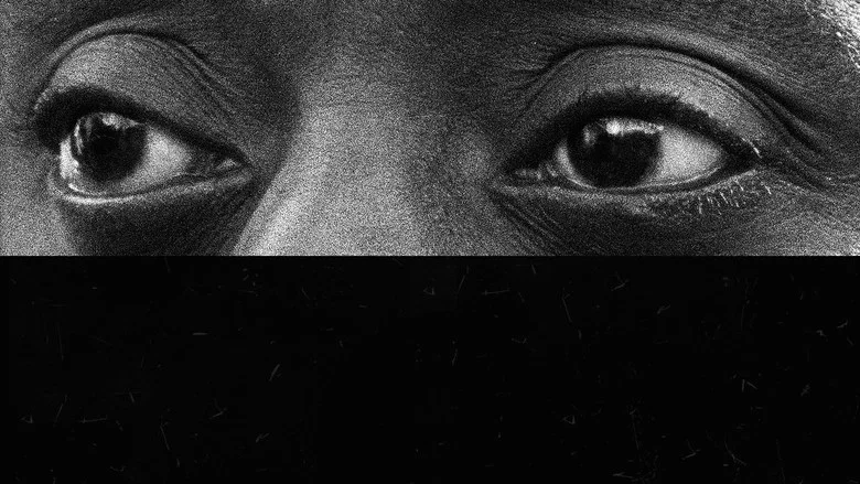 I Am Not Your Negro screenshot 5