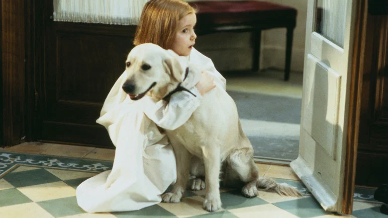 Madeline screenshot 6
