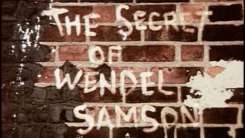 The Secret of Wendel Samson screenshot 1