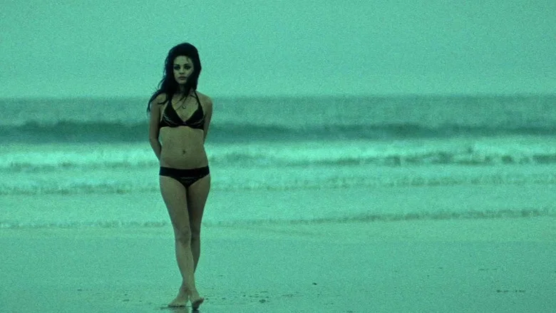 Moving McAllister screenshot 5
