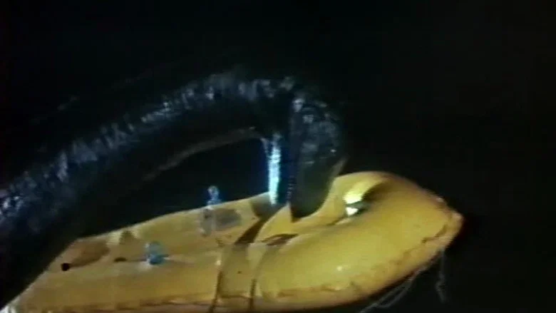 The Loch Ness Horror screenshot 1