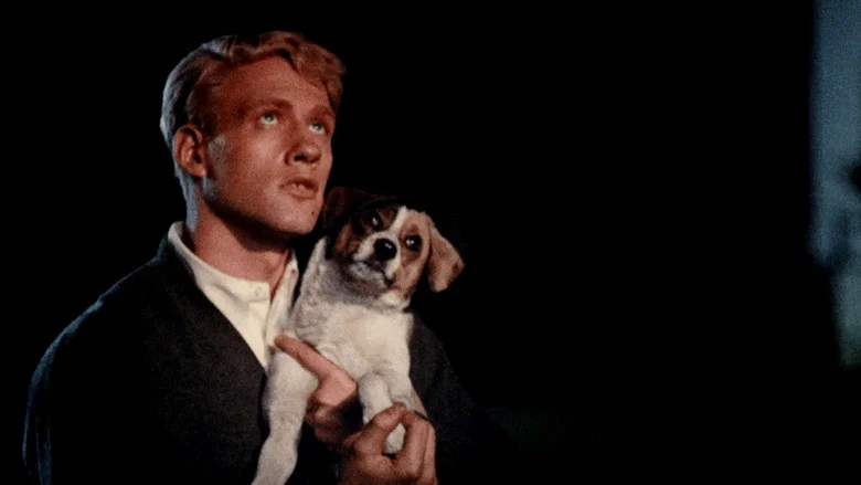 Slaughterhouse-Five screenshot 3