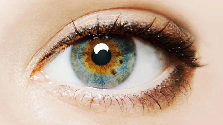 I Origins screenshot 5