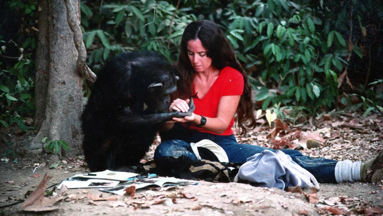 Lucy the Human Chimp screenshot 5