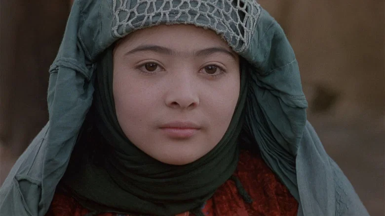 Baran screenshot 3