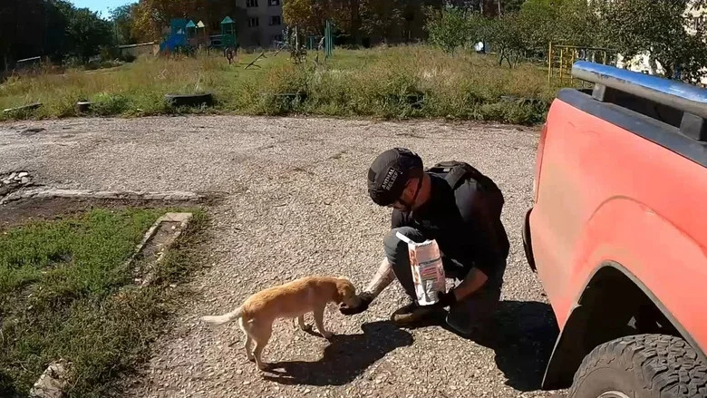 Dogs and War: What I saw in Ukraine screenshot 6