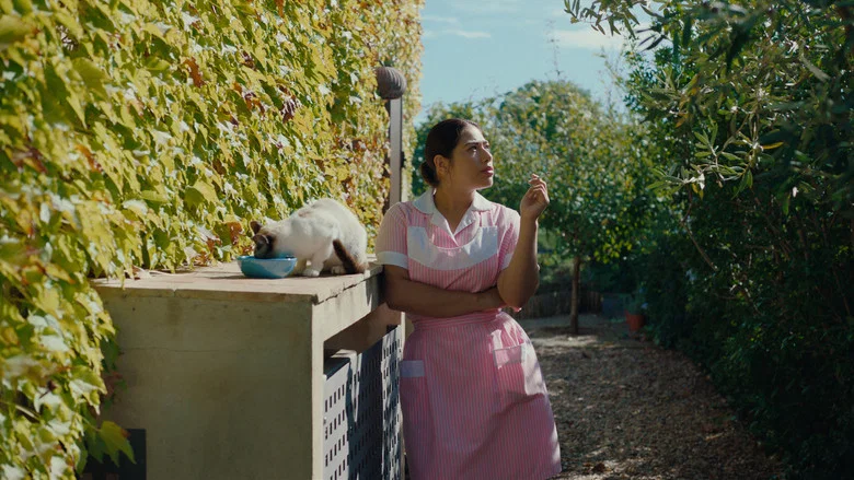 Calladita screenshot 3