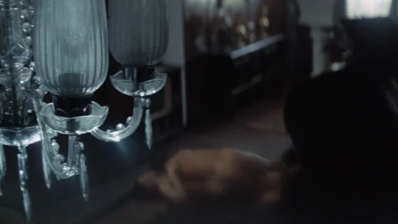 The Shadow on the Wall screenshot 2
