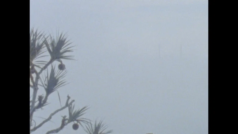 Batagur Baska screenshot 4