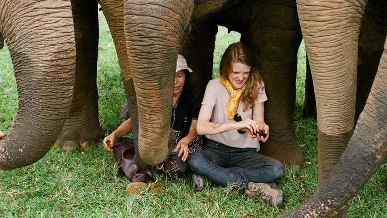Love & Bananas: An Elephant Story screenshot 1