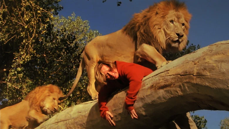 Roar screenshot 3