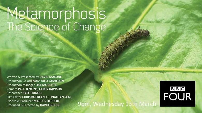 Metamorphosis: The Science of Change screenshot 1
