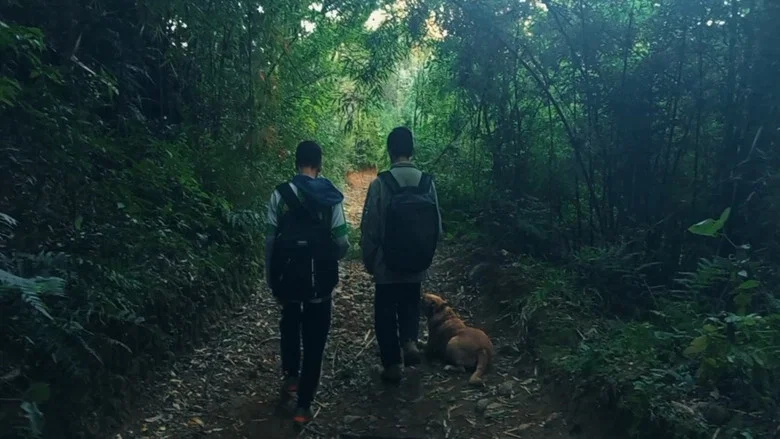 Já Não Somos screenshot 2