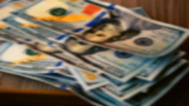 Cinereous Money screenshot 1