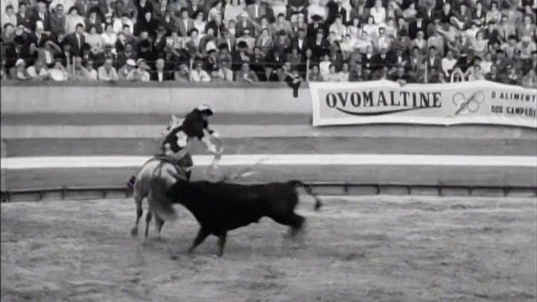 Born to Fight screenshot 1