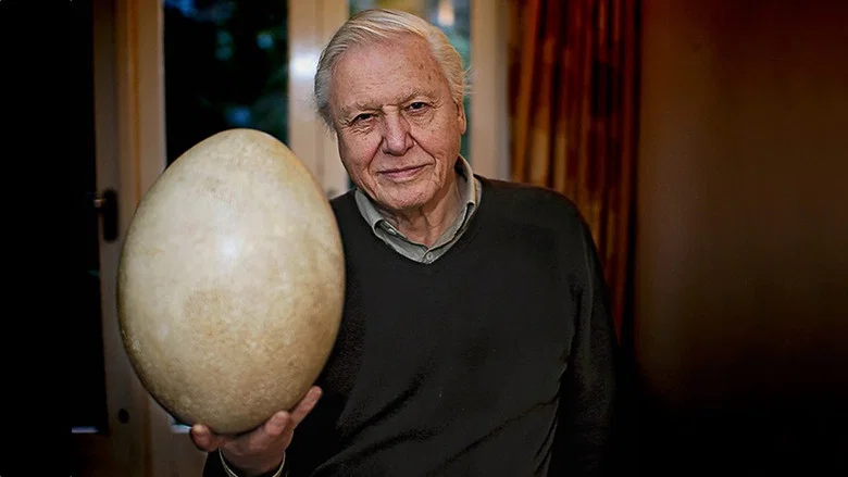 Attenborough and the Giant Egg screenshot 2
