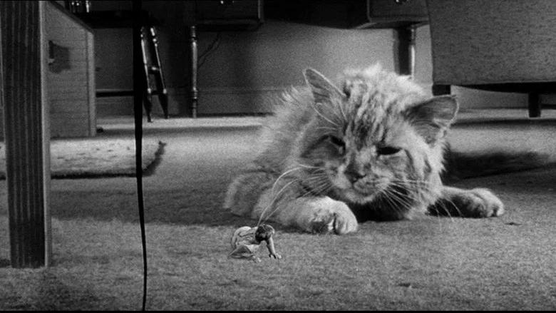 The Incredible Shrinking Man screenshot 2