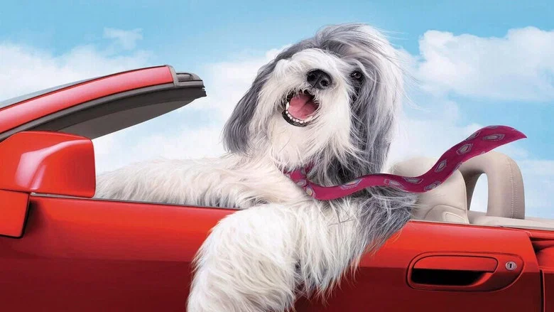 The Shaggy Dog screenshot 1