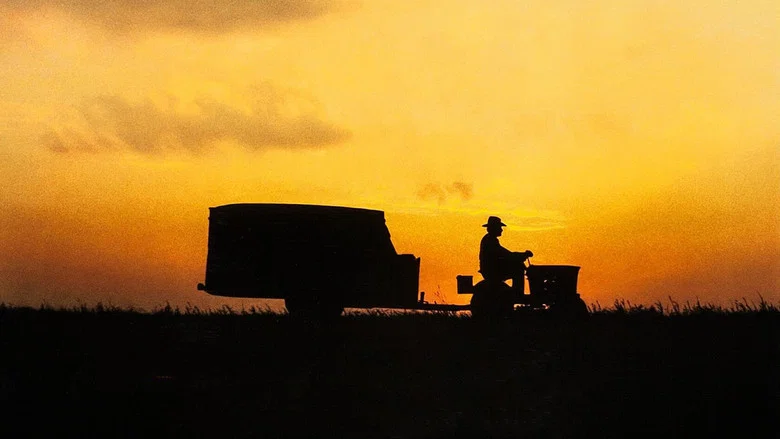 The Straight Story screenshot 2