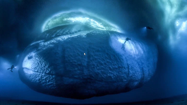 Antarctica, in the footsteps of the Emperor screenshot 7
