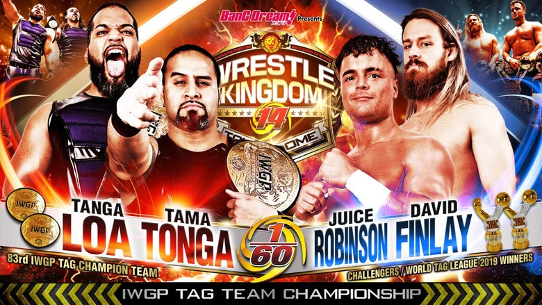 NJPW Wrestle Kingdom 14: Night 1 screenshot 7