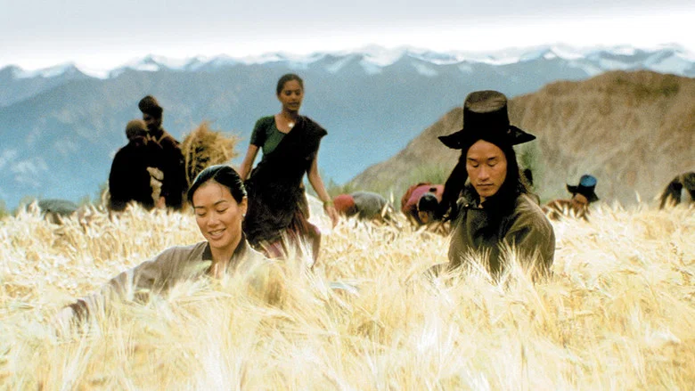Samsara screenshot 2